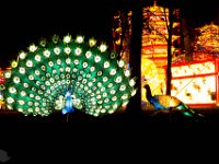 Festival des lanternes Jardin