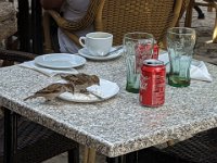 345_Valldemossa_PXL_20210907_105919824 Valldemossa