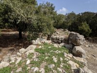 176_Arta_PXL_20210902_101122495 Ses Païsses