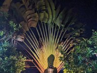 Bedoegoel 734-PXL_20240925_104339333 Lembah Cinta Mayungan