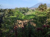 Bedoegoel 740-PXL_20240926_001809835 Lembah Cinta Mayungan