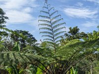 Bedoegoel 741-PXL_20240926_001825633 Lembah Cinta Mayungan