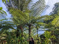 Bedoegoel 743-PXL_20240926_001926764 Lembah Cinta Mayungan