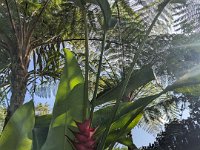 Bedoegoel 747-PXL_20240926_002042535 Lembah Cinta Mayungan