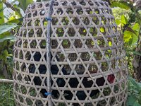 Tirta Gangga 302-PXL_20240917_085446515 Sidemen