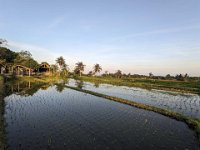 Tirta Gangga 303-PXL_20240917_094803341~2 Bebandem