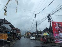 Ubud Nord 894-PXL_20240926_060022176 Botanic Garden