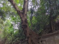 Ubud Nord 896-PXL_20240926_074610206