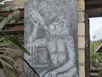 Ubud Nord 898-PXL_20240926_081722236 Arrivée sur Ubud