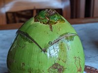 Ubud Nord 905-PXL_20240926_083804731.PORTRAIT Arrivée sur Ubud