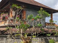 Ubud Sud 021-PXL_20240907_014340273 Hébergement Murdhasari