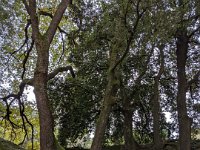 367-Bomarzo-PXL_20251023_111558506