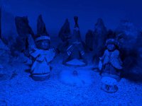 159-Greccio -PXL_20251021_075137216.NIGHT