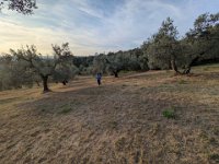 058-Corese Terra-PXL_20251019_152337314