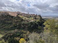 493-Tivoli-PXL_20251025_095032289