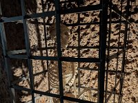 342-Viterbe-PXL_20251023_084012910.NIGHT