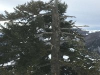 017-IMG_4859 Dim. 27/12 (Guzet Neige)