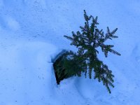 010-PXL_20211230_141902081 Jeu. 30/12 (Col d'Artigascou)