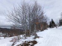 005-PXL_20220305_123352001 Sam. 05/03 (Etang de Fage Belle)