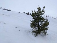 012-PXL_20220305_135057456 Sam. 05/03 (Etang de Fage Belle)