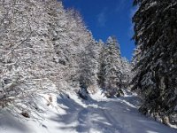 007-PXL_20230120_122702432 Vend. 20/01 (Cabane de l'Escalette)