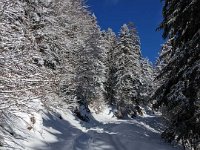 008-PXL_20230120_122709290 Vend. 20/01 (Cabane de l'Escalette)