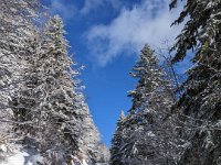 009-PXL_20230120_122737805 Vend. 20/01 (Cabane de l'Escalette)