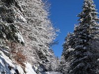 012-PXL_20230120_123012183 Vend. 20/01 (Cabane de l'Escalette)