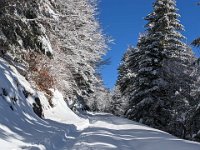 013-PXL_20230120_123017824 Vend. 20/01 (Cabane de l'Escalette)