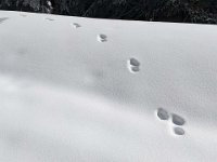 017-PXL_20230120_123326800 Vend. 20/01 (Cabane de l'Escalette)