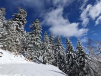 019-PXL_20230120_123754546 Vend. 20/01 (Cabane de l'Escalette)