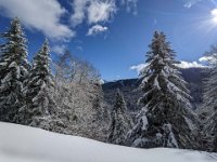 020-PXL_20230120_123800393 Vend. 20/01 (Cabane de l'Escalette)