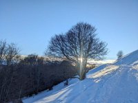 012-PXL_20240112_160024454 Vend. 12/01 (Cabane de l'Escalette)