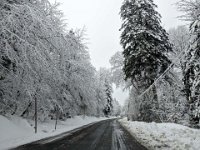 003-PXL_20250131_110400178 Vend. 31/01 (Auberge de la Soulan)