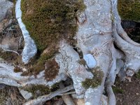 015-PXL_20260123_163149789 Vend. 23/01 (Cabane de l'Escalette)