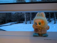 016-PXL_20260123_171654376 Vend. 23/01 (Cabane de l'Escalette)