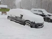 020-PXL_20260124_091215618 Sam. 24/01 (Forêt enchantée)